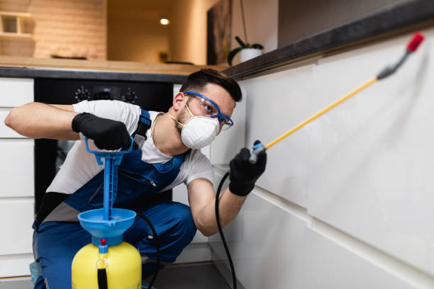 Best Bed Bug Extermination  in Lam, AR